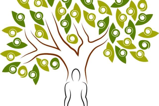 mens onder een boom als symbool voor persoonlijke groei met je onderneming